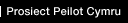 Prosiect Peilot Cymru