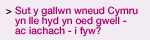 Sut y gallwn wneud Cymru yn lle hyd yn oed gwell - ac iachach - i fyw?  