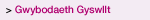 Gwybodaeth Gyswllt