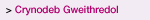 Crynodeb Gweithredol