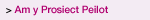 Am y Prosiect Peilot