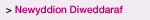 Newyddion Diweddaraf