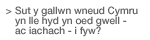 Sut y gallwn wneud Cymru yn lle hyd yn oed gwell - ac iachach - i fyw?  