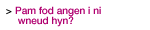 Pam fod angen i ni wneud hyn?  