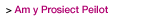 Am y Prosiect Peilot