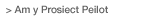 Am y Prosiect Peilot