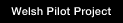 Welsh Pilot Project
